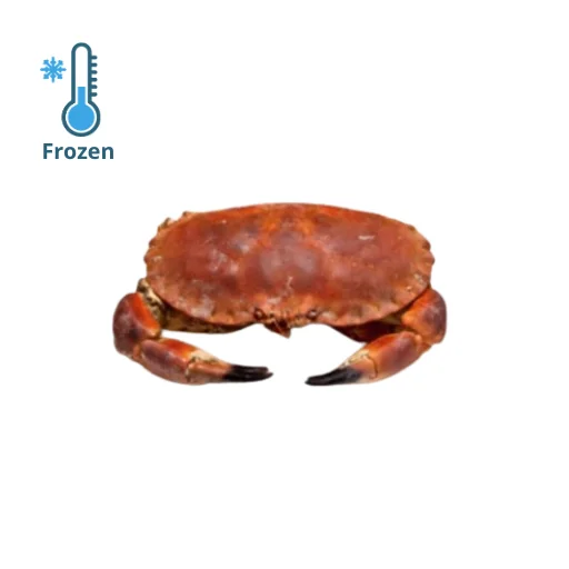 凍熟褐蟹