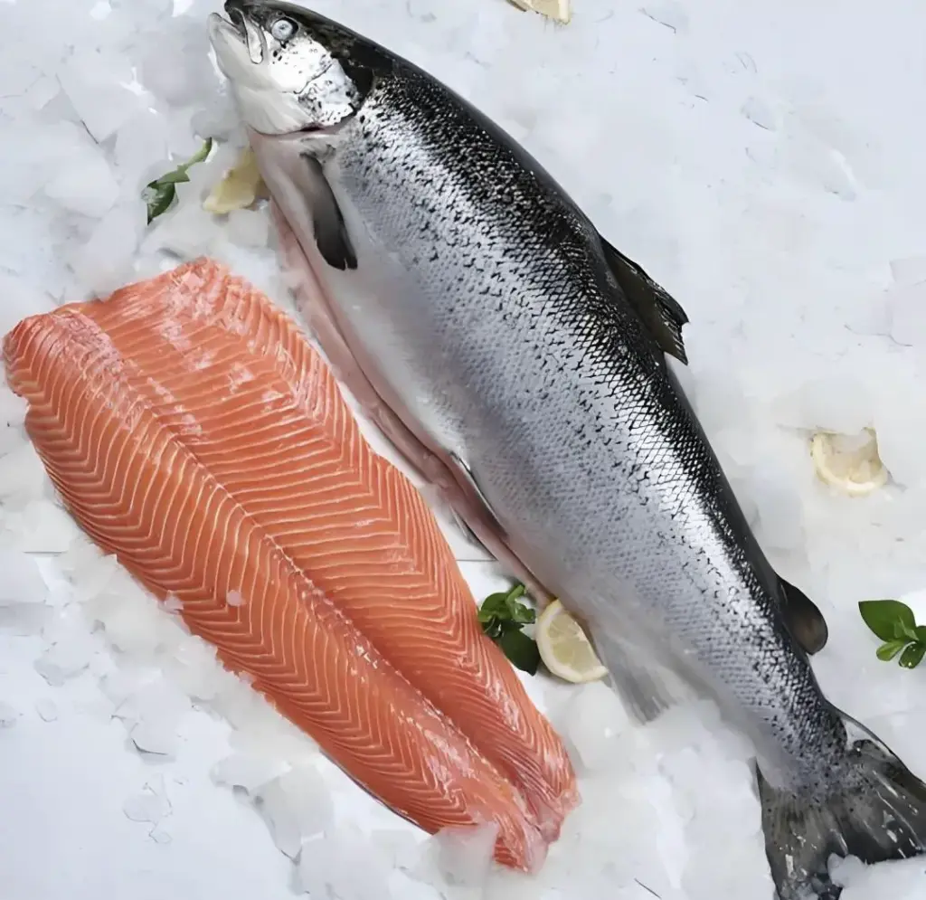 挪威煙熏鲑鱼1kg 養殖魚