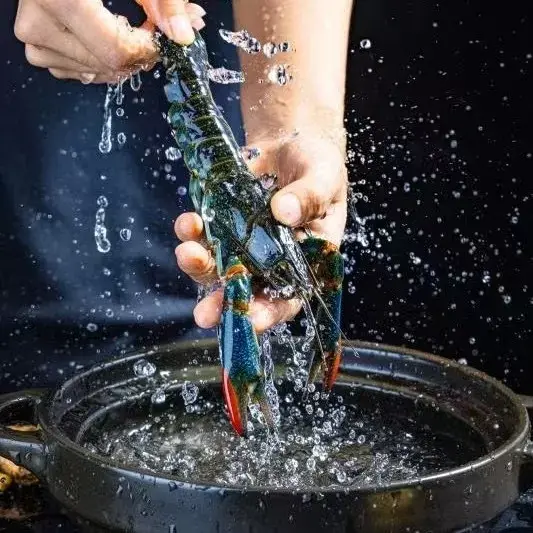 活布列塔尼藍龍蝦